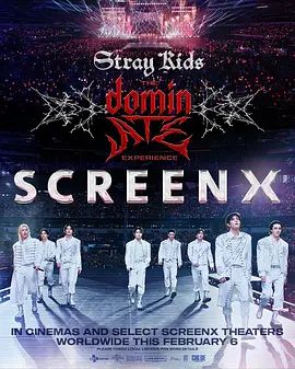 Stray Kids：主宰一切的體验